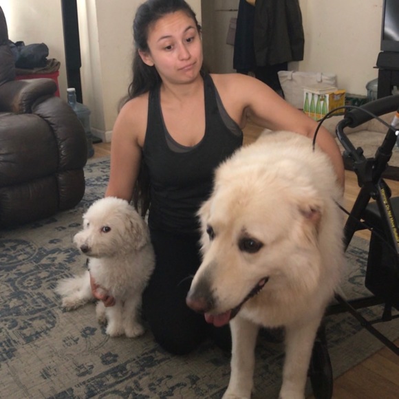 Meet Your Posher, Cristal! - Picture 3 of 3